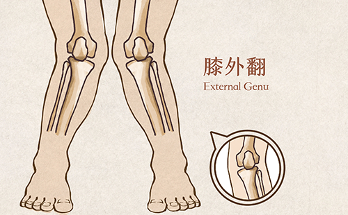 足底壓力分析儀